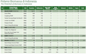 Potensi Pembangkit Listrik Tenaga Biomassa di Indonesia
