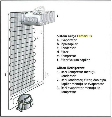 Memahami Cara Kerja Kulkas Di Rumah Dengan Mudah – Ilmuteknik.id