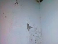 054da549-788a-4717-b430-f06b87494dab Cara Cepat Mengatasi Dinding Rembes dan Lembap - ilmuteknik.id