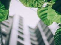 ilmuteknik.id - Pengertian Bangunan Ramah Lingkungan