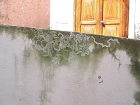 ilmuteknik.id - Cara Tepat Mengatasi Dinding Rumah Berjamur