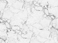 ilmuteknik.id - Mempercantik Ruangan dengan Pilihan Nat Granit Putih, Hitam, atau Cream