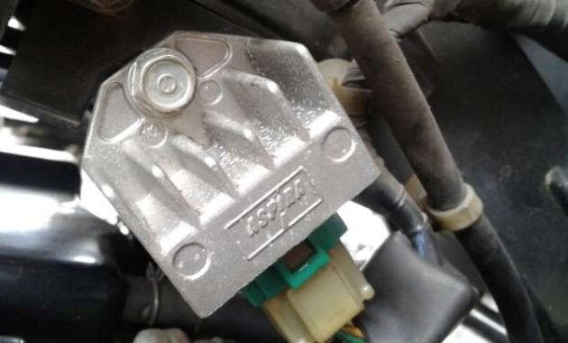 Apa Itu Kiprok Kenali Gejala Kerusakan dan Tips Perawatannya