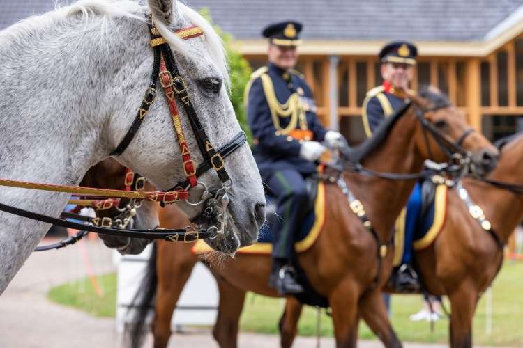 Dalam 1 HP Berapa Watt