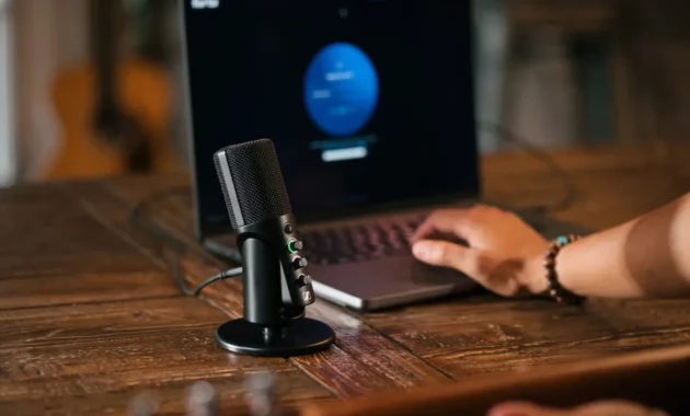 Pemanfaatan Mikrofon