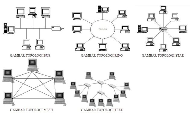 Pengertian Topologi dan Jenis-Jenis Jaringan Komputer