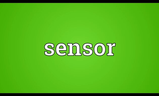 apa yang dimaksud dengan sensor