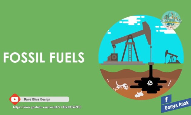 bahan bakar fosil adalah
