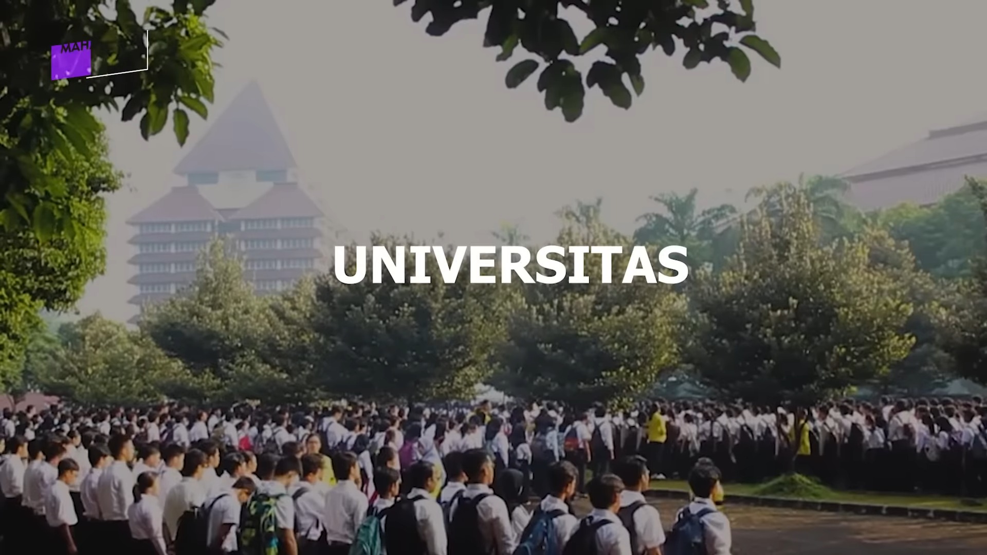 bedanya institut dan universitas 3